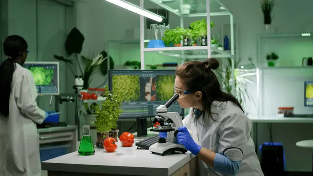 Trideset milijuna eura za agrifood deeptech