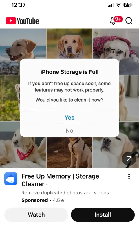Google prodaje oglase za prijevare i to mu je poslovni model, ne bug